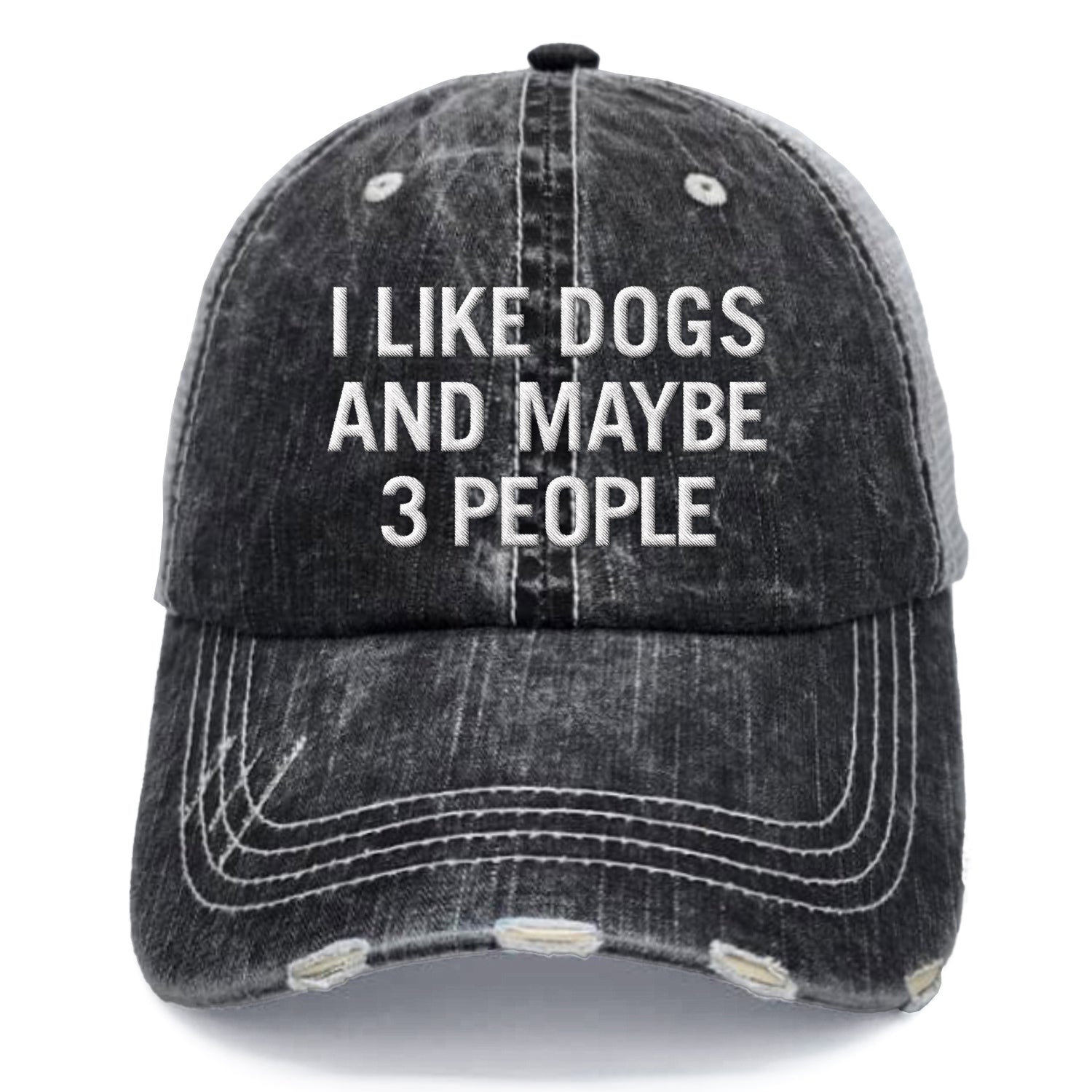 I Like My Dogs Embroidered Hat
