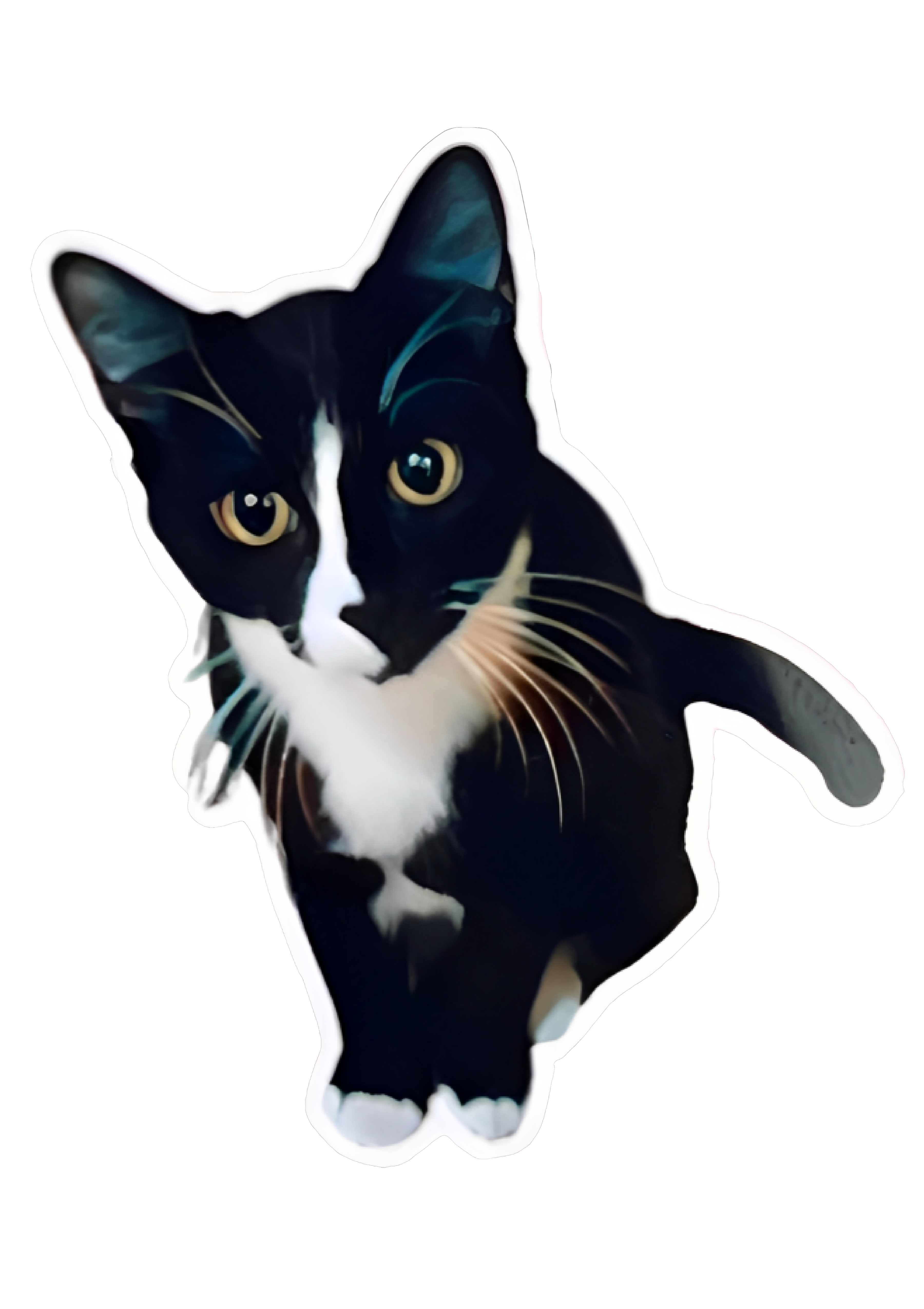 Black & White Tuxedo Cat Vinyl Sticker