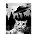 Cat Selfie With Alien UFO  Sticker