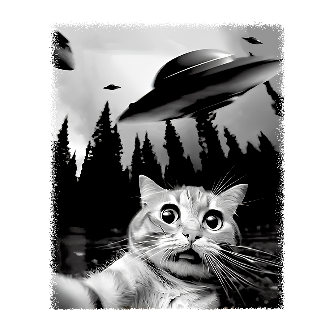Cat Selfie With Alien UFO  Sticker