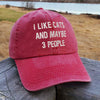 I Like Cats Maybe 3 People Embroidered Hat